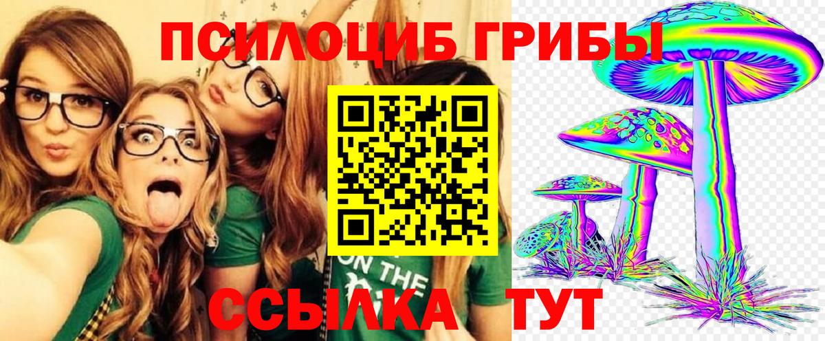 Псилоцибиновые грибы мицелий Лабинск