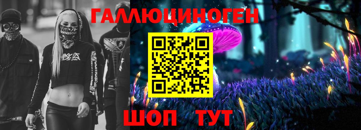 Галлюциногенные грибы прущие грибы  что такое   Лабинск  Вход с VPN 